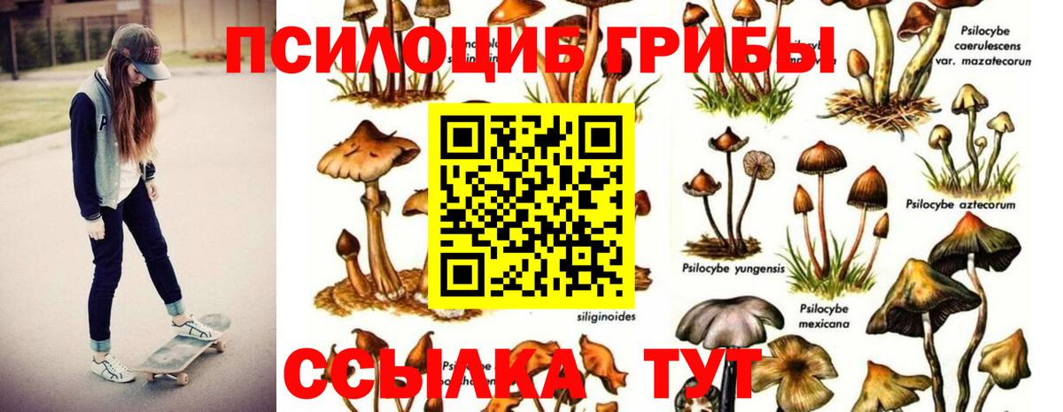 Клин  Псилоцибиновые грибы GOLDEN TEACHER  Галлюциногенные грибы Psilocybe  Вход с VPN 